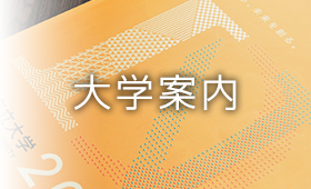 大学案内