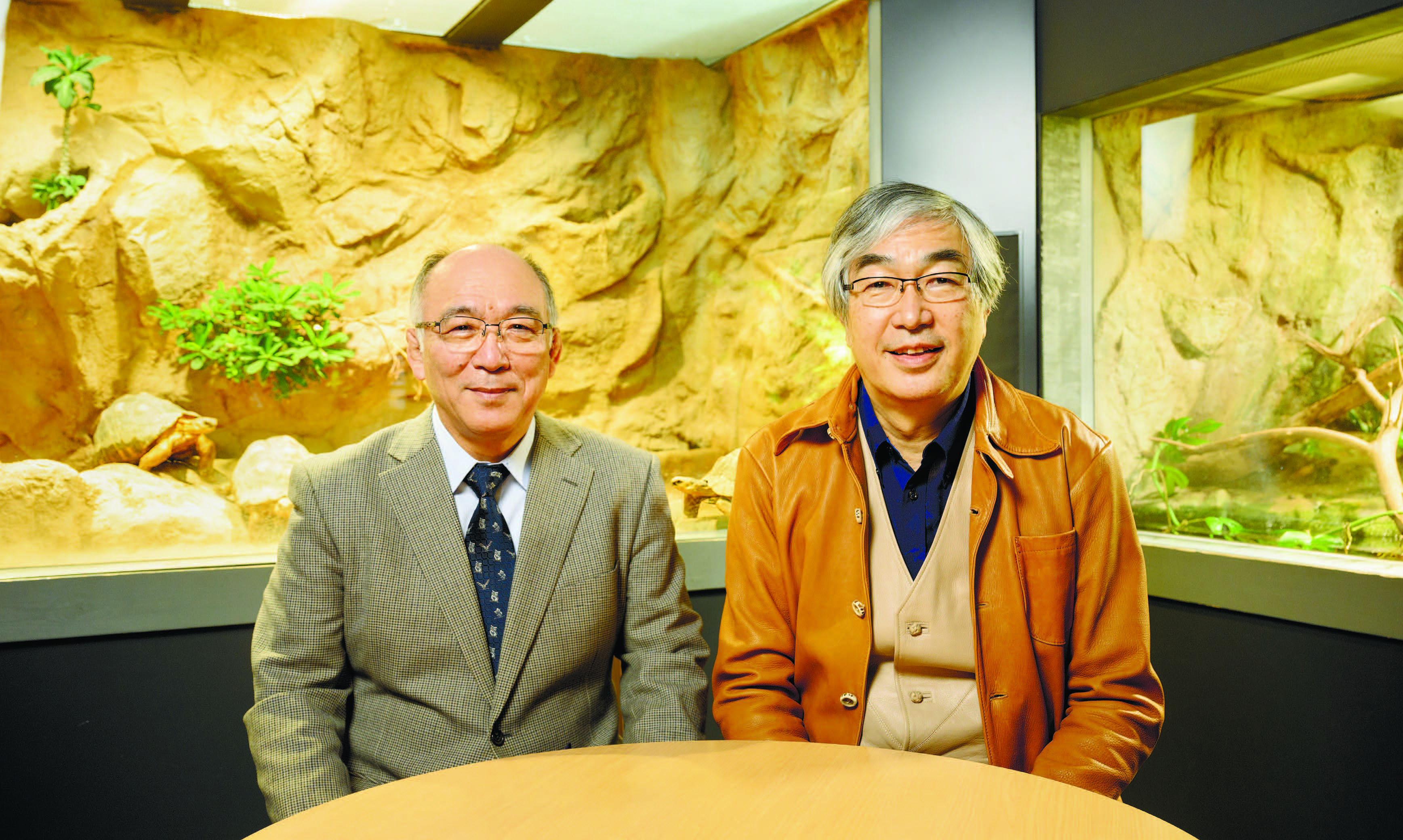 クリックで拡大表示