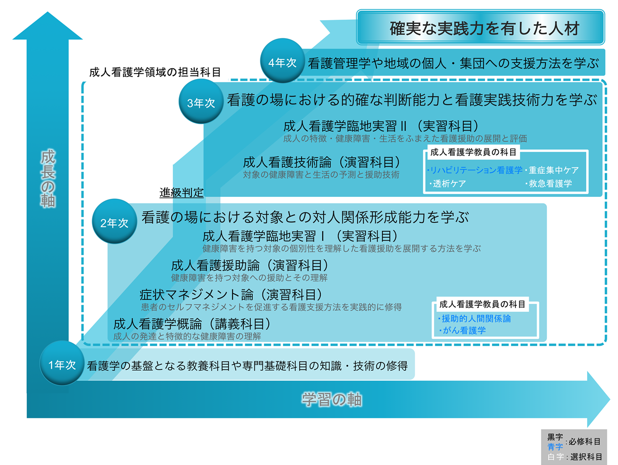 成人看護学領域の学びの概念図