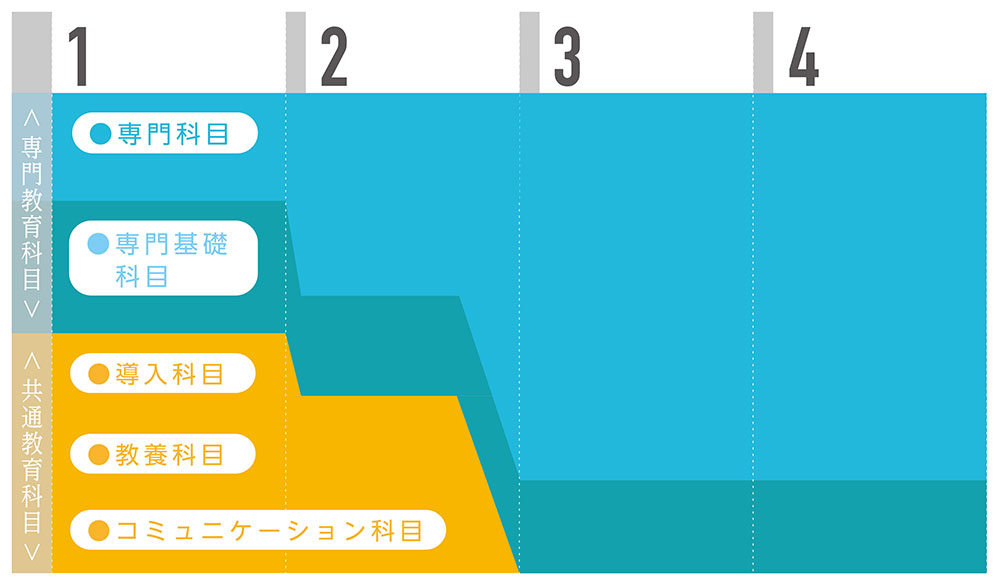 看護学部の4年間の学びの流れ