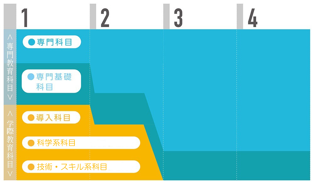 看護学部の4年間の学びの流れ