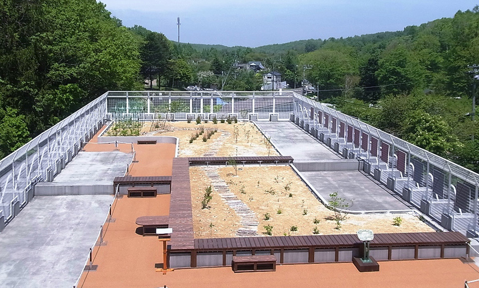 札幌市駒岡小学校の屋上 2010年竣工当時の写真