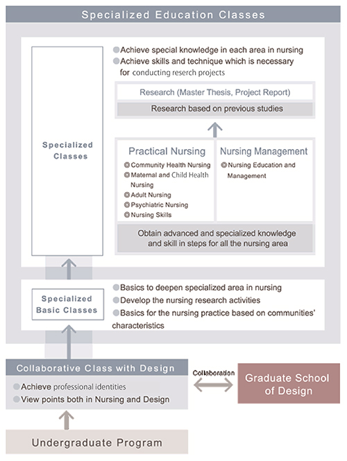 Outline of the Curriculum